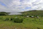 Cairngorms  National  Park 